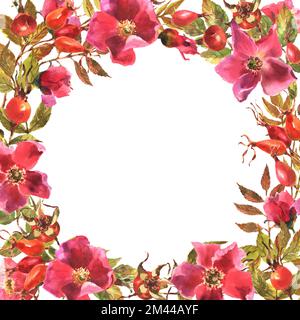 Rosehip-Rahmen. Blumen, Blätter und Früchte wilder Rosen. Briar, Aquarellmalerei zur Dekoration. Aquarelldarstellung isoliert auf weißem Hintergrund Stockfoto