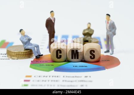 Geschäfts- und Finanzkonzept. Uber Finanzberichte mit Diagrammen, Zahlen von Geschäftsleuten und Holzwürfel mit der Inschrift - CMS Stockfoto
