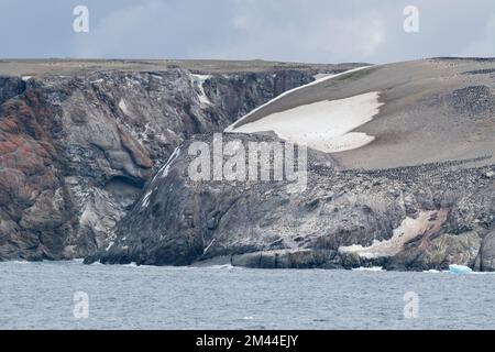 Antarktis, Gefahreninseln, Heroina-Insel. Die größte Pinguinkolonie der Adelie auf der antarktischen Halbinsel. Schätzungsweise 750.000 Zuchtpaare. Stockfoto