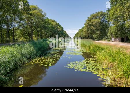 Nordhorn-Almelo-Kanal (Abkürzung: NAK), erbaut zwischen 1870 und 1904, in begrenztem Umfang für kleine Boote auf deutscher Seite befahrbar, der NAK Stockfoto