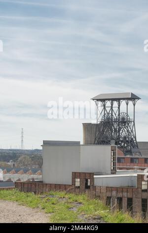 Beringen. Limburg - Belgien 11-04-2022. Kohlebergwerke und die Umgebung der Stadt Beringen Stockfoto