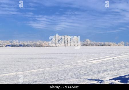 Ein weißes, schneebedecktes Stück Ackerland im Winter an einem sonnigen Tag Stockfoto