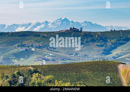 Weinberge vor den Alpen im UNESCO-Weltkulturerbe Piemont, Italien Stockfoto