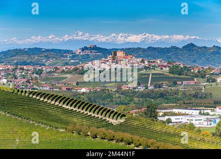 Weinberge vor den Alpen im UNESCO-Weltkulturerbe Piemont, Italien Stockfoto