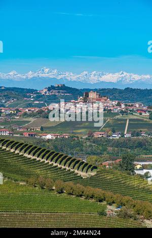 Weinberge vor den Alpen im UNESCO-Weltkulturerbe Piemont, Italien Stockfoto