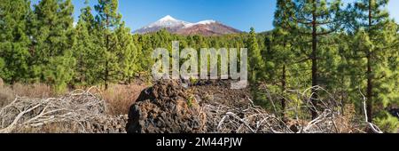 Arena Negras, hinter Pico del Teide, 3715m und Pico Viejo, 3135m, Teide-Nationalpark, Teneriffa, Kanarische Inseln, Spanien Stockfoto