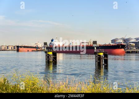 Große Tankschiffe werden bei Sonnenuntergang in einem Ölterminal entladen Stockfoto