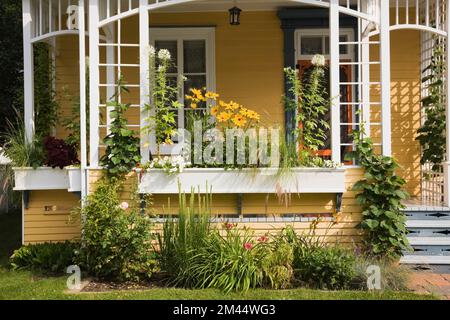 Alte Hausveranda mit weißem Holzgerüst und Blumenkasten im Sommer. Stockfoto