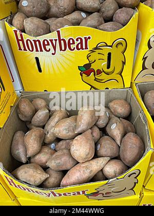 Honeybear Süßkartoffelbehälter in einem Lebensmittelgeschäft im Produktionsgang, 2022, USA Stockfoto