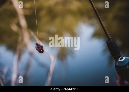 Haken mit lebendem Wurm, der an der Angelschnur hängt Stockfoto