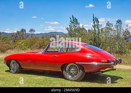 Ein roter Jaguar E Type FDC Sportwagen, Stockfoto