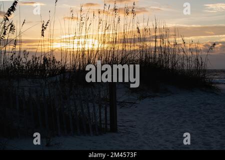 Farbenfroher Sonnenaufgang über einem weißen Sandstrand mit Hafer im Vordergrund. Isle of Palms, South Carolina. Stockfoto