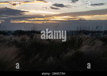 Farbenfroher Sonnenaufgang über einem weißen Sandstrand mit Hafer im Vordergrund. Isle of Palms, South Carolina. Stockfoto