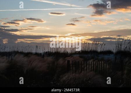 Farbenfroher Sonnenaufgang über einem weißen Sandstrand mit Hafer im Vordergrund. Isle of Palms, South Carolina. Stockfoto