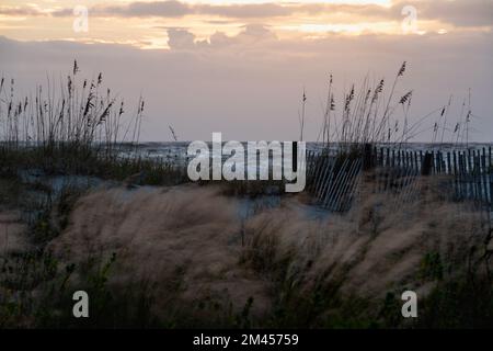 Farbenfroher Sonnenaufgang über einem weißen Sandstrand mit Hafer im Vordergrund. Isle of Palms, South Carolina. Stockfoto