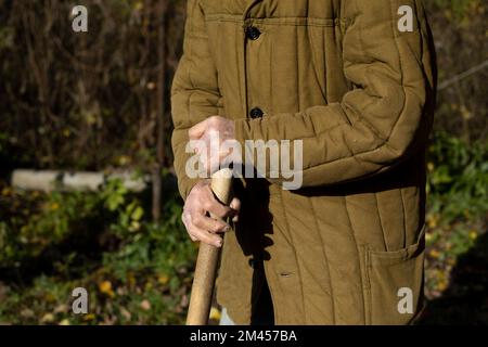 Die Hände des alten Mannes. Alter Mann hält Stock. Schlechte Kleidung. Ältere Menschen arbeiten an Land. Männlich 92 Jahre alt. Stockfoto