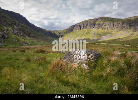 Der gewundene Pfad führt durch die Landschaft zu den Mahon Falls in der Nähe von Dungarvan im County Waterford, Irland. Stockfoto