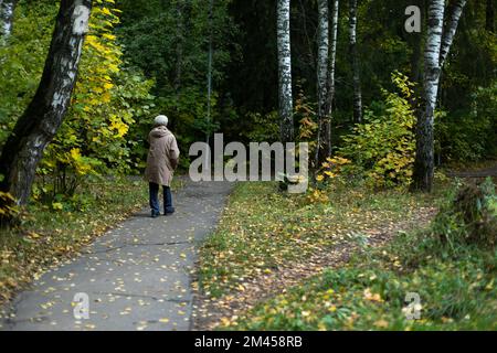 Alte Frau im Herbst im Park. Rentner wandert durch den Herbstwald. Oma geht den Weg. Gehen Sie die Straße entlang. Stockfoto