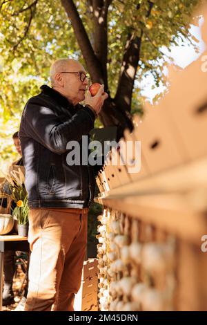 Erfahrener Mann, der Äpfel riecht, während er neben dem Lebensmittelmarkt stand, mit einer Vielzahl an frischem, pestizidfreiem Obst und Gemüse. Älterer männlicher Kunde, der lokal angebaute Bio-Produkte kauft Stockfoto