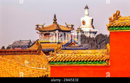 Beihai buddhistische Stupa Gelbe Dächer Drachenpavillon Gugong, Verbotene Stadt Dachfiguren Dekorationen Kaiserpalast erbaut in den 1400s Jahren im Ming Dyn Stockfoto