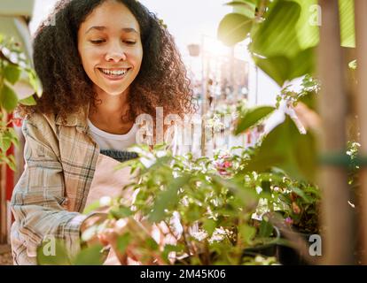 Garten, Pflanzen und Frau in einem Kinderzimmer zur Inspektion, Gartenarbeit Unternehmertum und glücklich in der Natur. Kleines Unternehmen, Blumen und Frau oder Florist Stockfoto