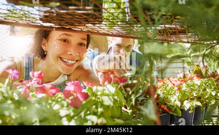 Einkaufen, Auswahl oder schwarze Frau in einem Geschäft für Blumen mit einem freundlichen Arbeiter, der bei der Entscheidung über Pflanzen in einem Kinderzimmer hilft. Nachhaltigkeit, Gartenarbeit oder Stockfoto