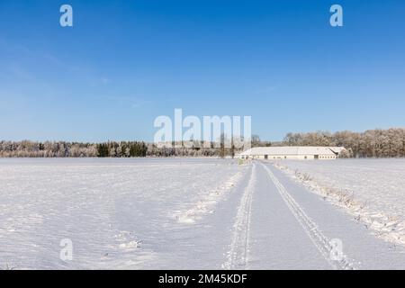 Autospuren im Schnee auf einer Landstraße Stockfoto