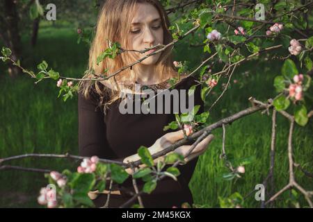 Genießen Sie Kirschblüten in der malerischen Frühlingsfotografie Stockfoto