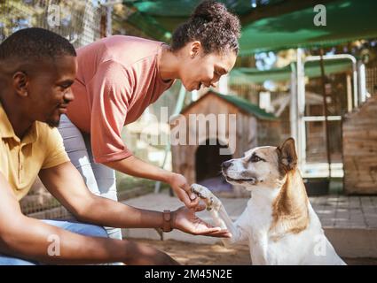 Schwarzes Paar, Liebes- oder Streichelhund in Tierheimen, Pflegefamilien oder Adoptionszentren. Lächeln, glücklich oder lieben Mann und Frau, die sich mit dem Haustier verbinden und es berühren Stockfoto