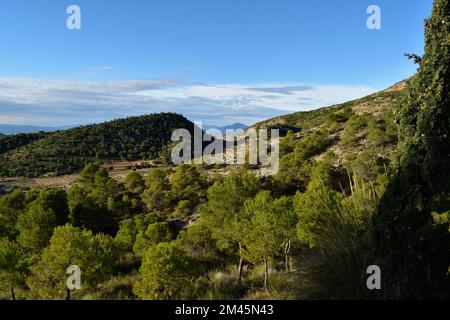 Spanische Berge mit Kiefernwald im Vordergrund Stockfoto