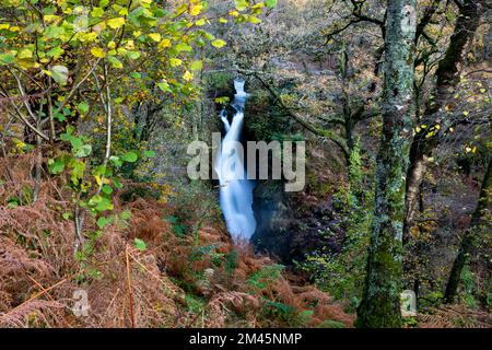 Wasserfall der Aira Force im Lake Didtrict National Park, Cumbria. Stockfoto