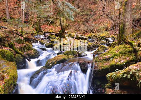 Ein schöner Wasserfall in der Ravenna-Schlucht, Breitnau, Schwarzwald, Deutschland Stockfoto