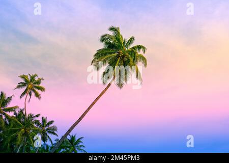 Sonnenuntergang mit Steigungen und Kokospalmen, tropische Landschaft Stockfoto