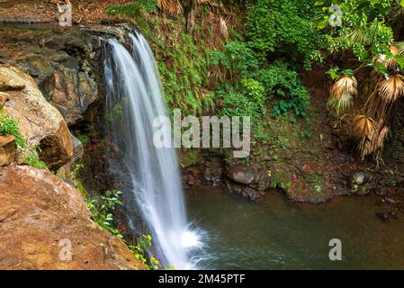 Der KlaCa-Wasserfall ist das versteckte Juwel im Süden von Mauritius. In der Nähe von souillac und Gris Gris Beach. Herrliches klares Wasser und wunderschöne ruhige Grünanlagen. Stockfoto