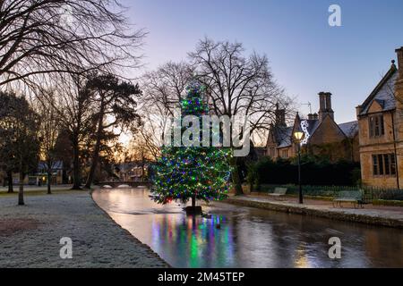 Weihnachtsbaum im Frost bei Sonnenaufgang. Bourton on the Water, Cotswolds, Gloucestershire, England Stockfoto