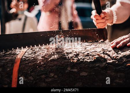 Eine Nahaufnahme, wie man einen Baumstamm bei einer Hochzeitszeremonie sägt Stockfoto