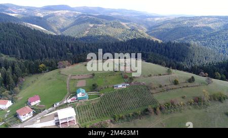 Drohnenansicht von ATV-Quads auf einem unbefestigten Pfad in Wäldern aus der Vogelperspektive. Geländewagen-Team-Club-Enthusiasten, die Spaß auf Landstraßen haben. Stockfoto