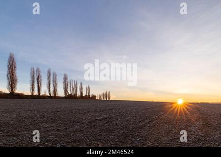 Ein spektakulärer Sonnenaufgang im Winter mit Sonnenstrahlen über den sanften Hügeln in einer italienischen Landschaft mit den typischen toskanischen Poplar-Bäumen. Stockfoto