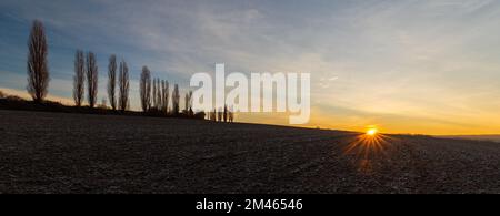 Ein spektakulärer Sonnenaufgang im Winter mit Sonnenstrahlen über den sanften Hügeln in einer italienischen Landschaft mit den typischen toskanischen Poplar-Bäumen. Stockfoto