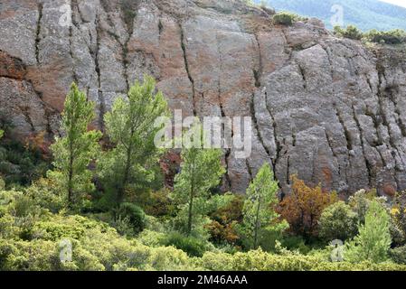 Ausgrabungen von Ochre Clay und kalkhaltigen Verbundfelsen südlich des Naturschutzgebiets Montagne Sainte Victoire Provence France Stockfoto