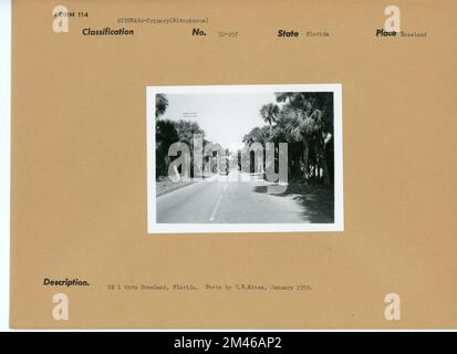 Straße in Florida. Originalunterschrift: US 1 bis Roseland, Florida. Foto: T. W. Kines, Januar 1952. Bundesstaat: Florida. Ort: Roseland. Stockfoto