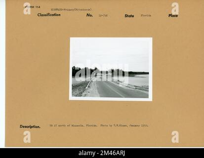 Straße in Florida. Originalunterschrift: US 27 nördlich von Minneola, Florida. Foto: T. W. Kines, Januar 1952. Bundesstaat: Florida. Stockfoto