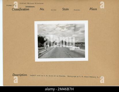 Straße in Florida. Originalüberschrift: Asphalt Road auf der U.S. Route 19 in Florida. Foto von T. W. Kines 9. Februar 1946. Bundesstaat: Florida. Stockfoto