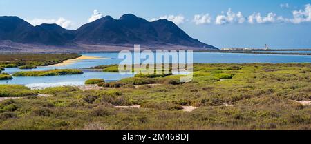 Ornithologischer Aussichtspunkt Las Salinas, Salinas de Cabo de Gata, Feuchtgebiet Ramsar, Naturpark Cabo de Gata-Níjar, UNESCO-Biosphärenreservat, Hot des Stockfoto