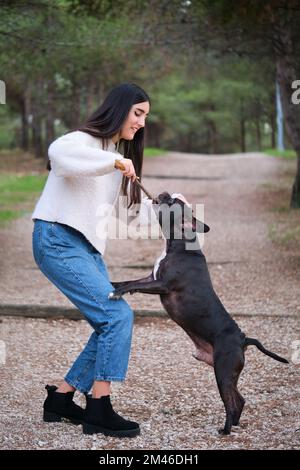 Junge weiße Frau, die mit ihrem Mischhund in einem Pinienwald spielt. Stockfoto