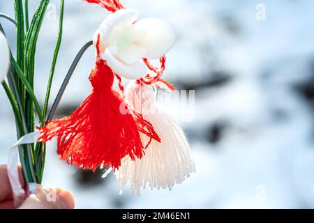 Zarte Frühlingsblumen Schneetropfen mit weißem und rotem bulgarischem Symbol des Frühlingsmartisors. Baba-Marta-Tag. Tapete von Frühlingsblumen und Martenitsa. Stockfoto