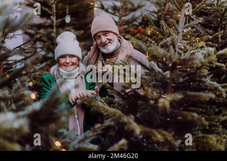 Glückliches Seniorenpaar genießt den weihnachtsmarkt, kauft weihnachtsbaum. Stockfoto