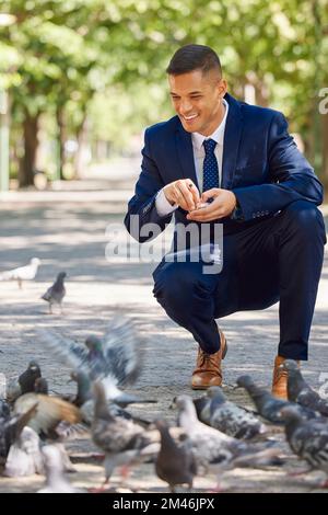 Geschäfts-, Mann- und Vogelfütterung im Park während einer Arbeitspause für Glück und Frieden. Geschäftsmann, Futter und hungrige Tauben, die in einem essen Stockfoto