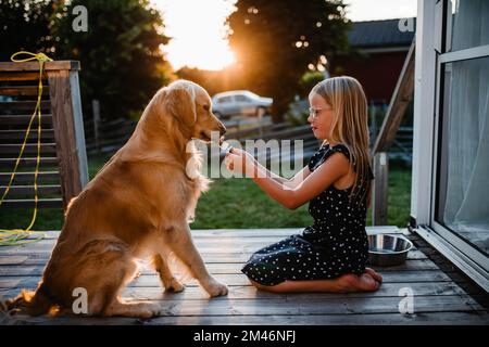 Ein Mädchen, das dem Hund Eiswürfel gibt Stockfoto
