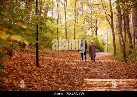 Paare, die im herbstlichen Wald Stockfoto